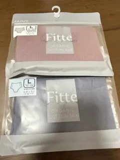 新品未使用⭐︎ グンゼ　レギュラーショーツ　Lサイズ　2枚セット