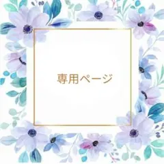 toN《購入前にプロフ必読下さい》様 リクエスト 4点 まとめ商品