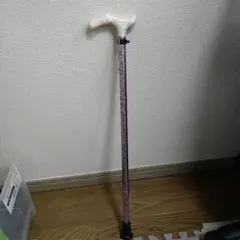 Item thumbnail for item c980e18a-2511-459d-bb33-485292bc757e