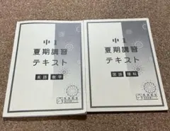 akubi様 リクエスト 2点 まとめ商品
