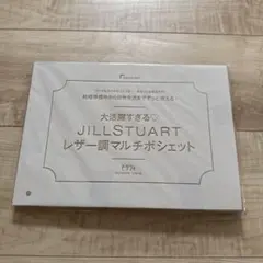 ジルスチュアート　レザー調マルチポシェット(新品)