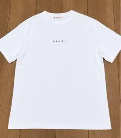 マルニTシャツ