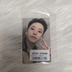 SEVENTEEN セブチ NEW 会場限定 トレカ ユニバ ホシ