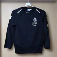 Item thumbnail for item 5c46aa9f-0dd8-430a-9434-f23d629ceacd