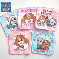 パウパトロール　プチタオル　ハンカチ　ミニタオル　スカイ　エベレスト　C