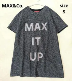 【美品】MAX&Co.　マックスアンドコー　Tシャツ　ビッグロゴ　ラメのサムネイル