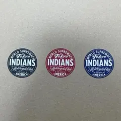 2026年最新】TOKYO indians ステッカーの人気アイテム - メルカリ
