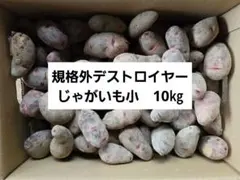 終了直前！長崎県産規格外デストロイヤーじゃがいも10㎏ - メルカリ