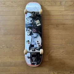 スケートボード コンプリート