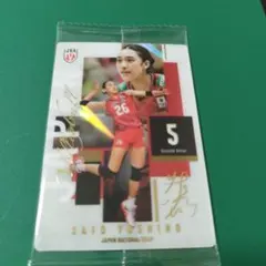 佐藤淑乃 女子バレー日本代表 ウエハースカード 2026 バレーボール 日本代表