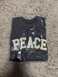 Item thumbnail for item 0fb1fc5d-5c8b-48a8-a7fa-42d07358ecd4