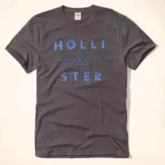 【正規品】ホリスター HOLLISTER アップリケロゴTシャツ グレー S