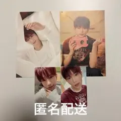 &TEAM ハルア HARUA シーグリ トレカ ポストカード