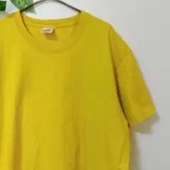 フルーツオブザルーム 無地 Tシャツ クルーネック 半袖 L 黄 綿 普段着