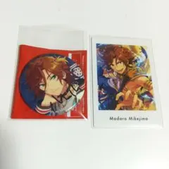 三毛縞斑 缶バッジ ぱしゃっつ