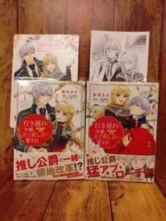 行き遅れ令嬢が領地経営に奔走していたら立て直し公に愛されました 全2巻