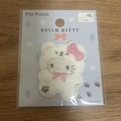 Item thumbnail for item 48f33efb-8bb4-4d23-bc91-010547a94451