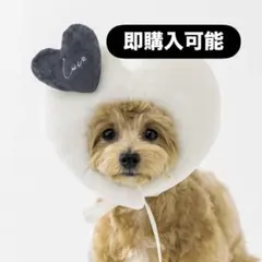 スリーコインズ バレンタイン ペット用 ハート 顔ハメ かぶりもの　3COINS
