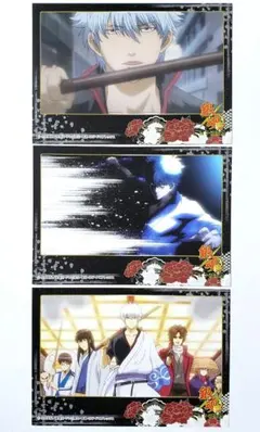 銀魂 銀時 桂 辰馬 新八 ポストカード 3点セット