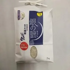 실버 슬레이어 2