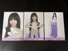 乃木坂46 池田瑛紗 生写真 北海道ver.コーデ コンプのサムネイル
