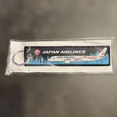 JAL ノベルティ　フライトタグ