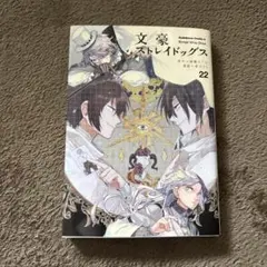 【kin様専用】文豪ストレイドッグス　22/23/25巻