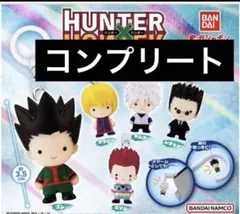 HUNTER×HUNTER めじるしアクセサリー 全5種 コンプリートセット