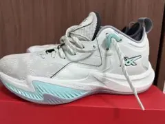 アシックス ノヴァサージロー2 27.0cm