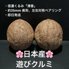294【新品未使用】遊びクルミ(文玩核桃) 日本産鬼グルミ・ペアリング