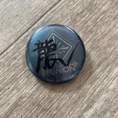 アイドリッシュセブン アイナナ REUNION展 サイン缶バッジ 四葉環