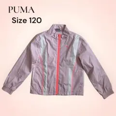 プーマ PUMA ウインドブレーカー ジャケット ピンク 120