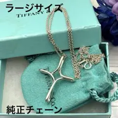 オンライン限定 ティファニー インフィニティクロス ネックレス AG925 オンライン限定 ティファニー インフィニティクロス ネックレス AG925