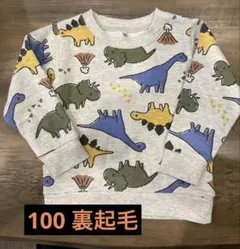 恐竜柄 トレーナー 100