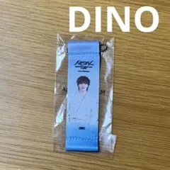 ディノ　seventeen NEW_ フラッグキーホルダー