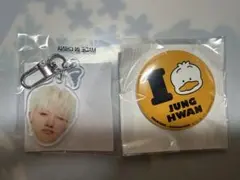 treasure ジョンファン 顔アクキー 哀 ＆ はぴだんぶい 缶バッジ