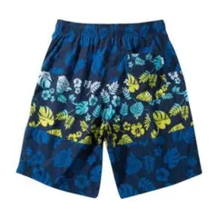 Item thumbnail for item 3a174b95-c65a-471c-bf15-2826f4cc45b1