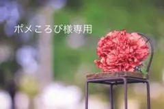 ポメころび様専用