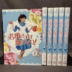 若奥さまは腕まくり! DVD 全6巻 全巻 セット レンタル版 中山美穂