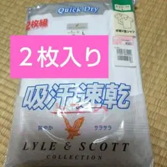 ノーブランド□Vネック半袖シャツ メンズアンダーウェア 合計2枚