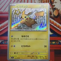 2026年最新】色違いピカチュウSの人気アイテム - メルカリ