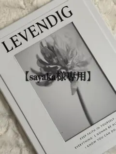 【sayaka様専用】トレカケース　ホイップデコ　硬貨ケース　トレカデコ