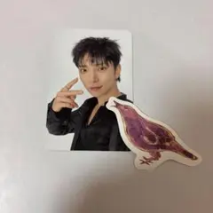 SEVENTEEN セブチ ジョシュア 2026 シーグリ トレカ