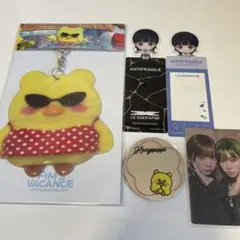 ルセラフィム ウンチェ グッズ まとめ売り トレカケース しおり ミラー