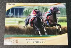 HORSE RACING TRADING CARDS ジューンベロシティ