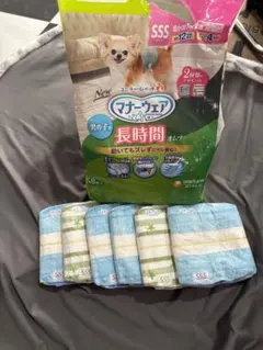 Item thumbnail for item 594a30da-d154-458a-9058-12b8dce72505