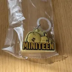 SEVENTEEN MINITEEN めじるしアクセサリー　ホシ
