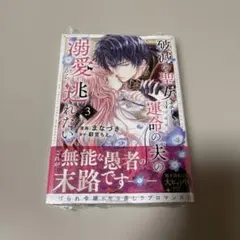 破滅の聖女は運命の夫の溺愛から逃れたい 3