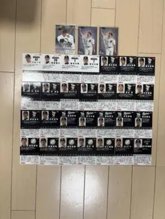 プロ野球チップスカード 千葉ロッテマリーンズ まとめ売り 31枚 レア有り