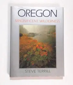 Item thumbnail for item 6494b55c-d0ea-41ae-9264-0b398d8082fd